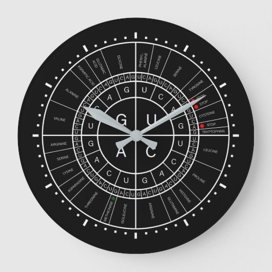 mRNA ZUM AMINOSÄUREcodon-RAD Große Wanduhr (Vorderseite)