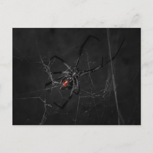 Mrs. Black Postkarte (Vorderseite)