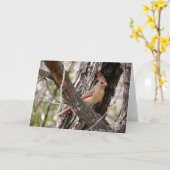 Mrs. Cardinal-2004 Karte (Gelbe Blume)