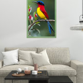 Mrs. Gould's sunbird  Poster