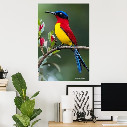 Mrs. Gould's sunbird  Poster (Heimbüro)