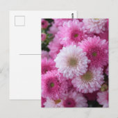 MS Art Design Postkarte (Vorne/Hinten)