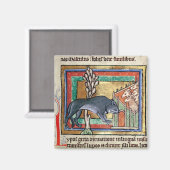 MS Roy A Wolf außerhalb einer Schaffalte Magnet (Vorderseite/Rückseite)