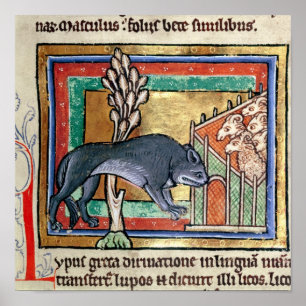 MS Roy A Wolf außerhalb einer Schaffalte Poster