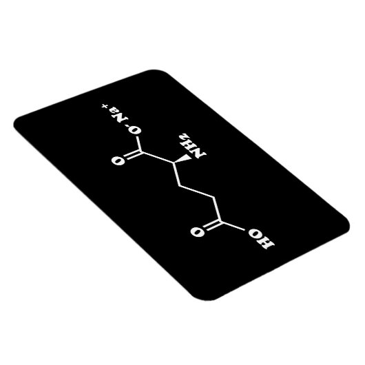 MSG MonoNatrium Glutamate Molecule Chemische Forme Magnet (Rechte Seite)