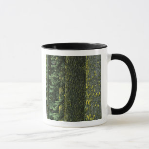 Mt. Ashland, Rogue RIver National Forest, Tasse