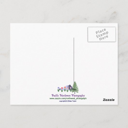 Mt Baker im Juli Postkarte (Rückseite)