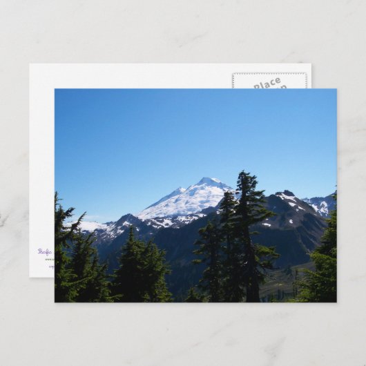 Mt Baker im Sommer Postkarte (Vorne/Hinten)