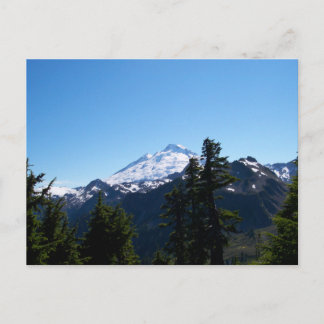Mt Baker im Sommer Postkarte