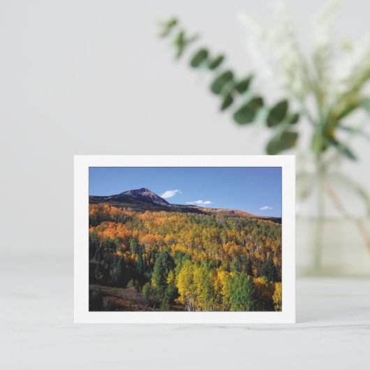 "Mt. Baldy - Aspen Tree Flow" Postkarte (Stehend Vorderseite)