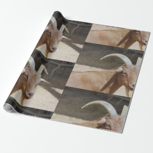 Mt.Bill Geschenkpapier