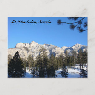 Mt Charleston Postcard Postkarte