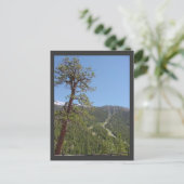 Mt Charleston Postcard Postkarte (Stehend Vorderseite)