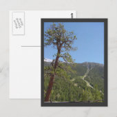 Mt Charleston Postcard Postkarte (Vorne/Hinten)