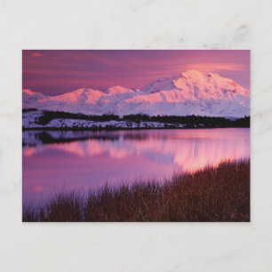 Mt. Denali bei Sonnenuntergang vom Reflection Pond Postkarte