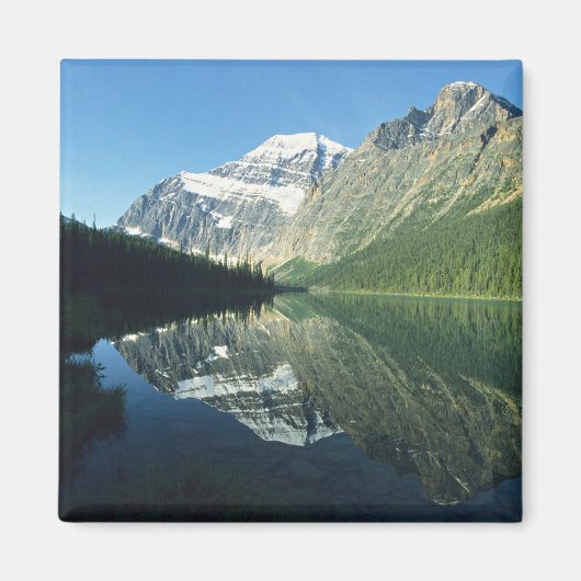 Mt Edith Cavell in Cavell Lake, Jasper National Magnet (Vorne)