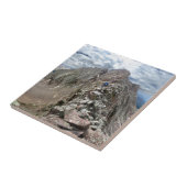 Mt Eolus Catwalk - Chicago Basin - Colorado Fliese (Seite)