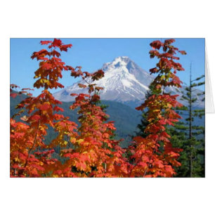 Mt. Haube im Fall