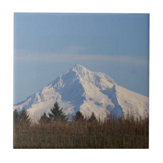 Mt-Haube, Oregon Fliese (Vorderseite)