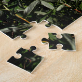 Mt Hood Lake Reflection Puzzle (Seite)