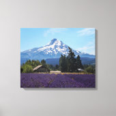 Mt Hood Lavender Fields Leinwanddruck (Vorderseite)