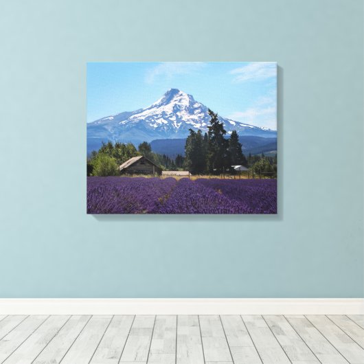Mt Hood Lavender Fields Leinwanddruck (Insitu (Holzboden))