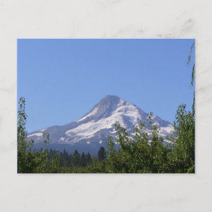 Mt Hood, Oregon an einem August-Tag Postkarte