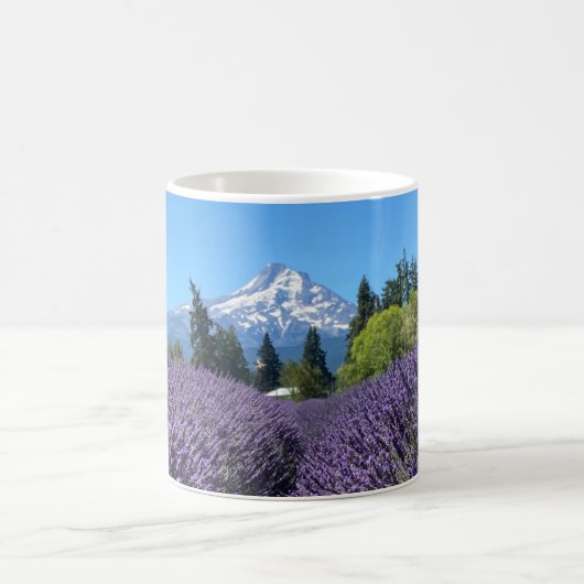 Mt Hood Oregon Kaffeetasse (Mittel)