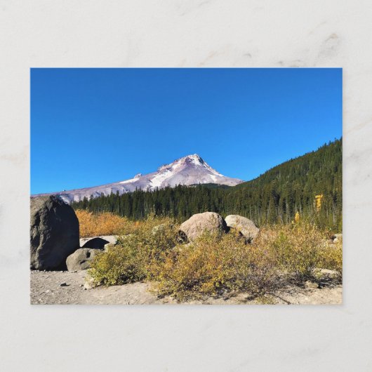 Mt. Hood, Oregon Postkarte (Vorderseite)