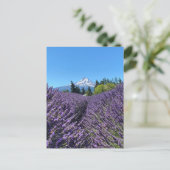 Mt Hood Oregon Postkarte (Stehend Vorderseite)