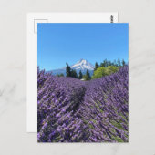 Mt Hood Oregon Postkarte (Vorne/Hinten)