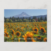 Mt Hood | Oregon Postkarte (Vorderseite)