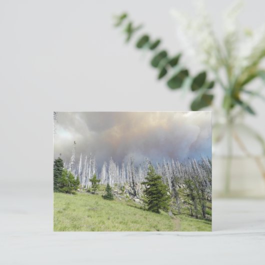 Mt. Jefferson Wilderness Postkarte (Stehend Vorderseite)