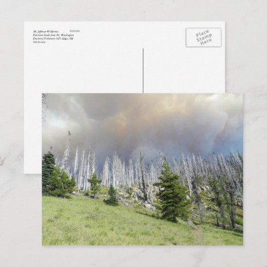 Mt. Jefferson Wilderness Postkarte (Vorne/Hinten)