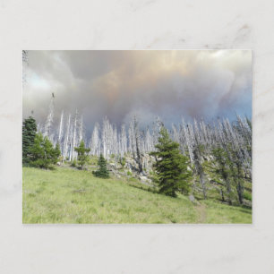 Mt. Jefferson Wilderness Postkarte