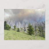 Mt. Jefferson Wilderness Postkarte (Vorderseite)