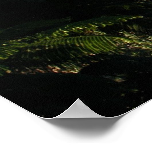 Mt. Kilimanjaro Poster (Ecke)