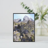 mt Kinabalu Pflanze Postkarte (Stehend Vorderseite)