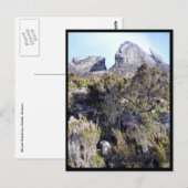 mt Kinabalu Pflanze Postkarte (Vorne/Hinten)