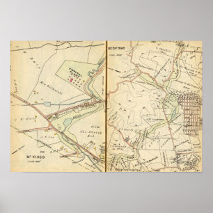 Mt. Kisco, New York 2 Poster