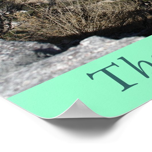 Mt. Lemon Poster (Ecke)