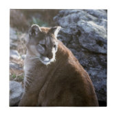 Mt-Löwekopf Fliese (Vorderseite)