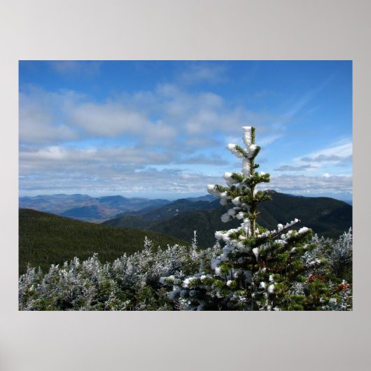 Mt. Marcy Trail Poster (Vorne)