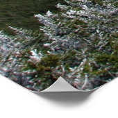 Mt. Marcy Trail Poster (Ecke)