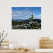 Mt. Marcy Trail Poster (Küche)