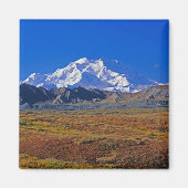 Mt. McKinley Denali National Park , Alaska. Magnet (Vorne)