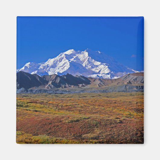 Mt. McKinley Denali National Park , Alaska. Magnet (Vorne)