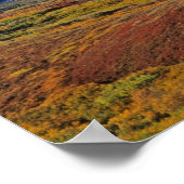 Mt. McKinley Denali National Park , Alaska. Poster (Ecke)