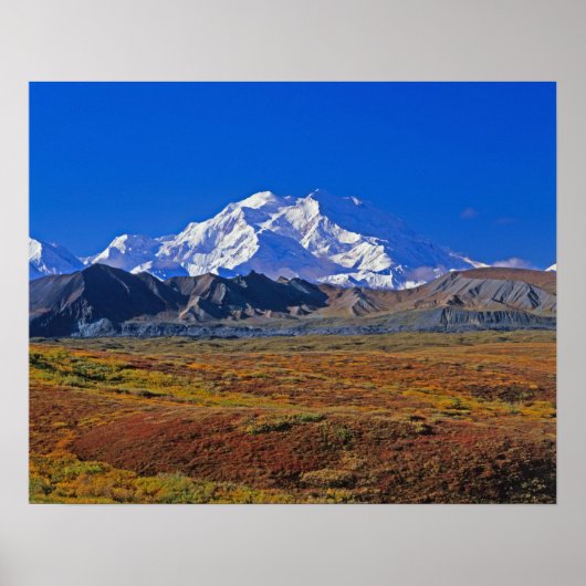 Mt. McKinley Denali National Park , Alaska. Poster (Vorne)