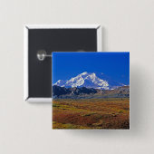 Mt. McKinley Denali Nationalpark , Alaska. Button (Vorne & Hinten)